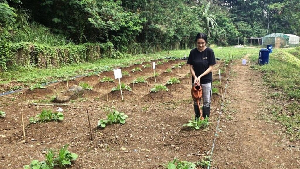 Dari Skripsi Jadi Peneliti Terbaik? Kisah Inspiratif Rosdiana di 2025