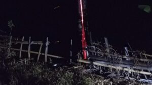 Fenomena Aneh di Kuningan, Pohon Jati Menyala Saat Hujan, Kok Bisa?