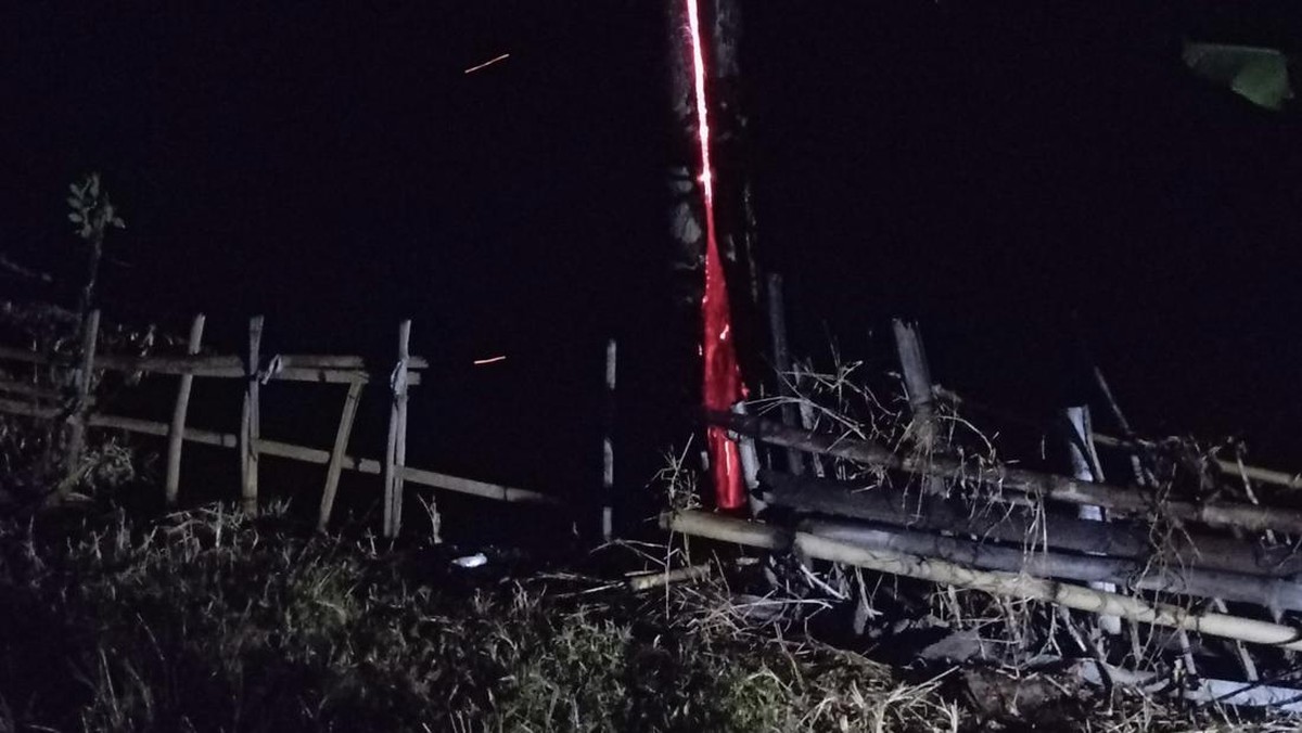 Fenomena Aneh di Kuningan, Pohon Jati Menyala Saat Hujan, Kok Bisa?