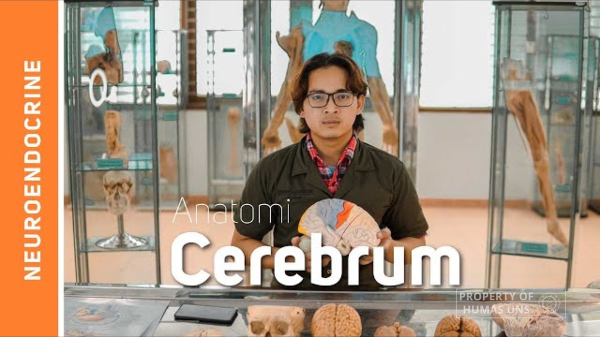 Kisah Inspiratif Muhana, Dokter Muda dengan Rekam Jejak Publikasi Scopus yang Bikin Kagum