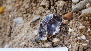 Ternyata Ini yang Bikin Nenek Moyang Kita Bisa Survive Jutaan Tahun Lalu!