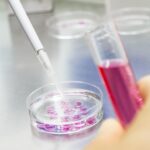 Wow, Ini Dia Kampus Penghasil Penelitian Paling Banyak di Indonesia!