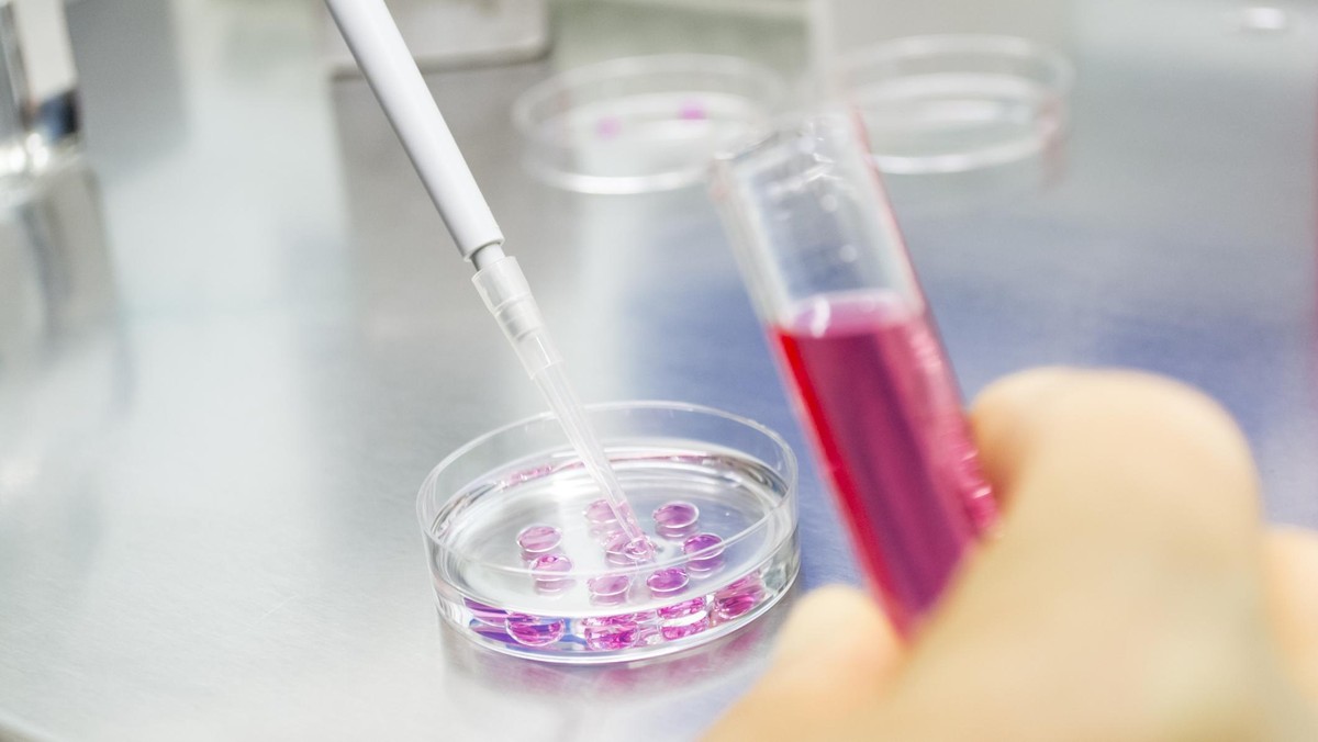 Wow, Ini Dia Kampus Penghasil Penelitian Paling Banyak di Indonesia!