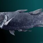 Keajaiban Alam, 7 Hewan yang Sempat Hilang Kini Muncul Kembali!